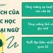 LỢI ÍCH CỦA VIỆC HỌC NGOẠI NGỮ