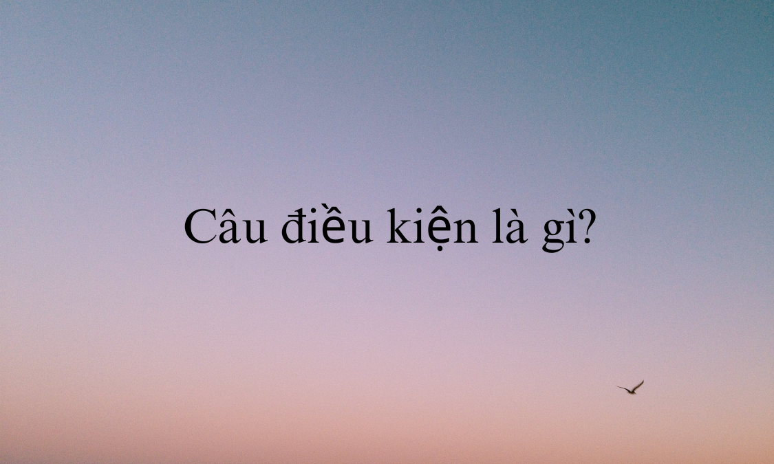 Câu điều kiện là gì?