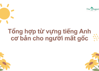 Tổng hợp từ vựng tiếng Anh cơ bản cho người mất gốc