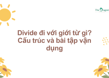 Divide đi với giới từ gì? Cấu trúc và bài tập vận dụng