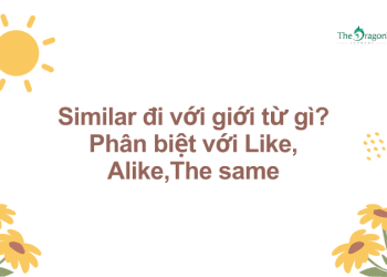 Similar đi với giới từ gì? Phân biệt với Like, Alike,The same