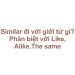 Similar đi với giới từ gì? Phân biệt với Like, Alike,The same