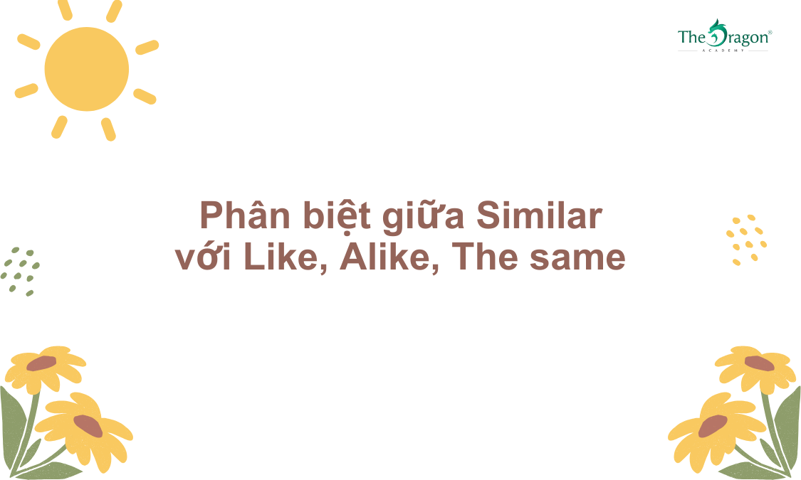 Phân biệt giữa Similar với Like, Alike, The same