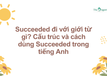 Succeeded đi với giới từ gì? Cấu trúc và cách dùng Succeeded trong tiếng Anh