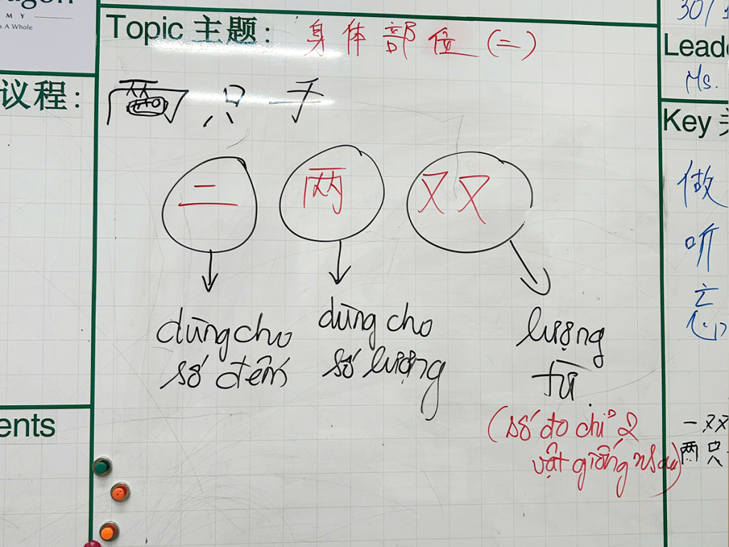 The Dragon Board Protocol Hiệu Quả Và Vai Trò Của Bảng Trong Lớp Học