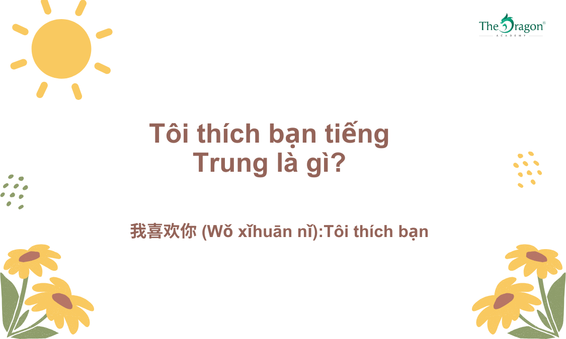 Tôi thích bạn tiếng Trung là gì? 