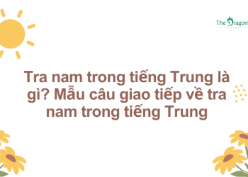 Tra nam trong tiếng Trung là gì? Mẫu câu giao tiếp về tra nam trong tiếng Trung