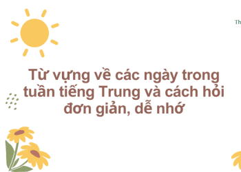 Từ vựng về các ngày trong tuần tiếng Trung và cách hỏi đơn giản, dễ nhớ