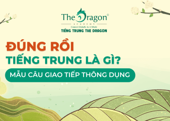 Đúng rồi trong tiếng Trung là gì ? Mẫu câu giao tiếp thông dụng