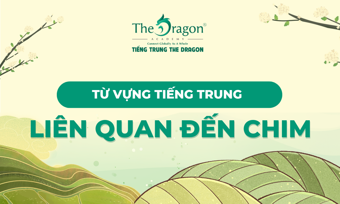 Từ vựng tiếng Trung liên quan đến các loài chim 