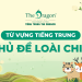 Từ vựng tiếng Trung chủ đề các loài chim và mẫu hội thoại thông dụng