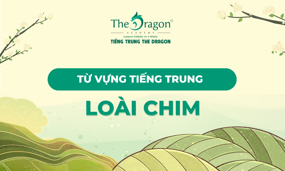 Từ vựng tiếng Trung về các loài chim