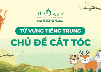 Từ vựng tiếng Trung chủ đề cắt tóc và mẫu câu giao tiếp