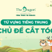 Từ vựng tiếng Trung chủ đề cắt tóc và mẫu câu giao tiếp