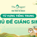 Từ vựng tiếng Trung chủ đề giáng sinh và mẫu câu giao tiếp thông dụng