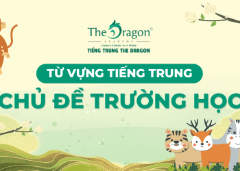 Từ vựng tiếng Trung chủ đề trường học và mẫu câu giao tiếp