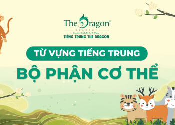 Từ vựng tiếng Trung về chủ đề các bộ phận cơ thể người và mẫu câu giao tiếp