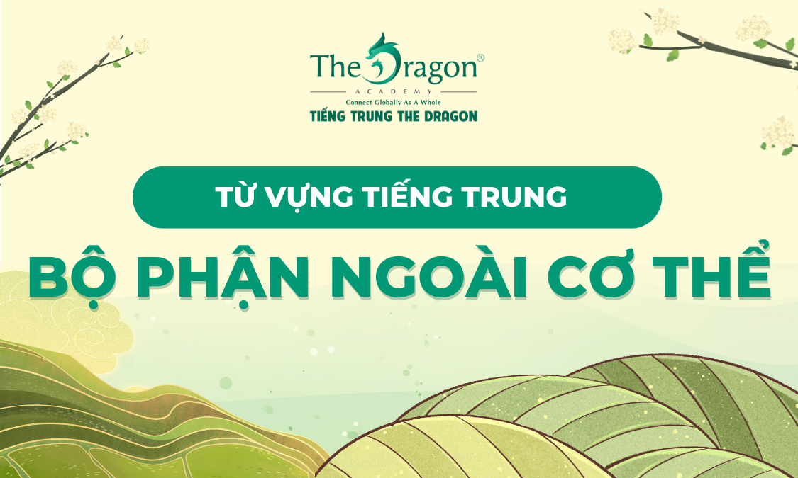 Từ vựng tiếng Trung về các bộ phận bên ngoài cơ thể