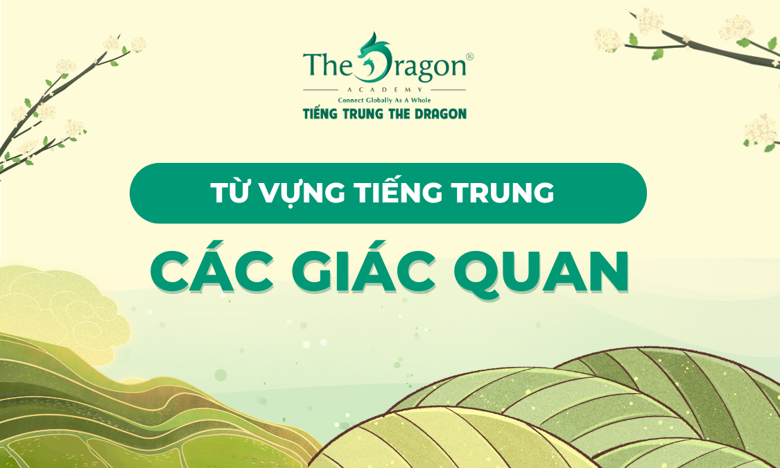 Từ vựng tiếng Trung về các giác quan của con người