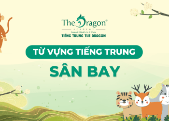 Từ vựng tiếng Trung về sân bay và mẫu câu giao tiếp thông dụng
