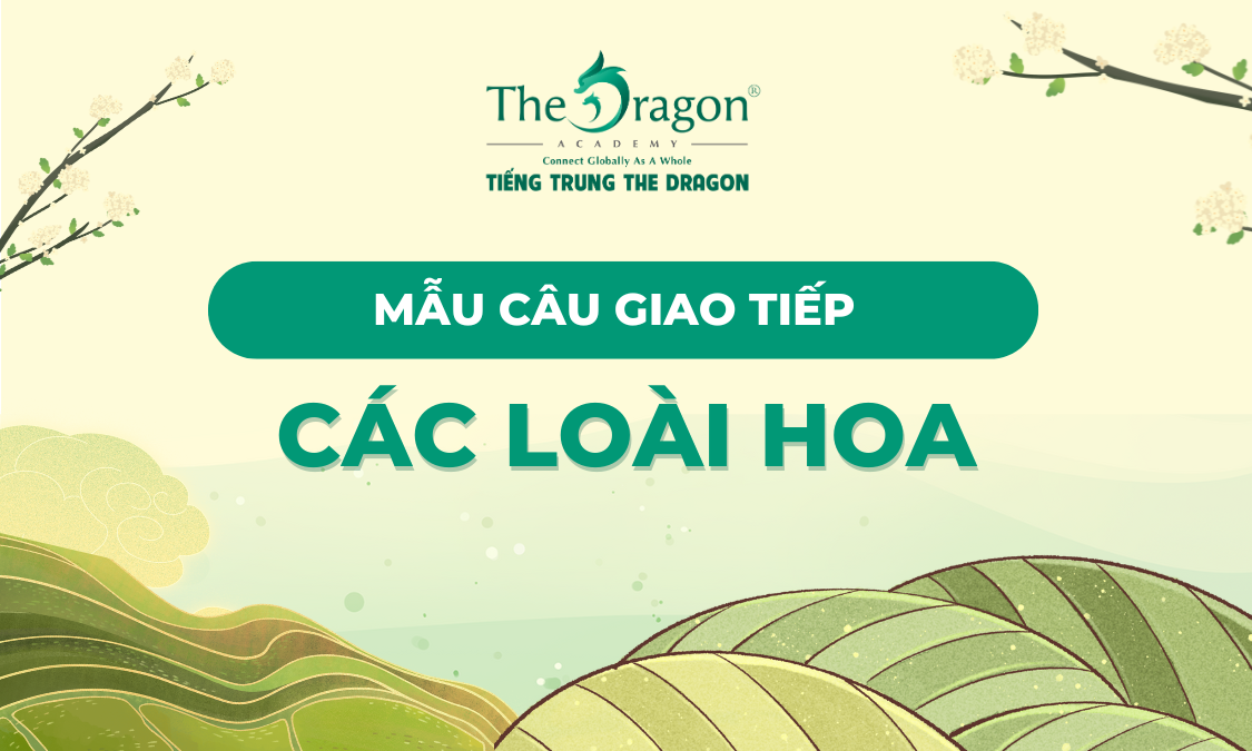 Mẫu câu giao tiếp tiếng Trung về các loại hoa