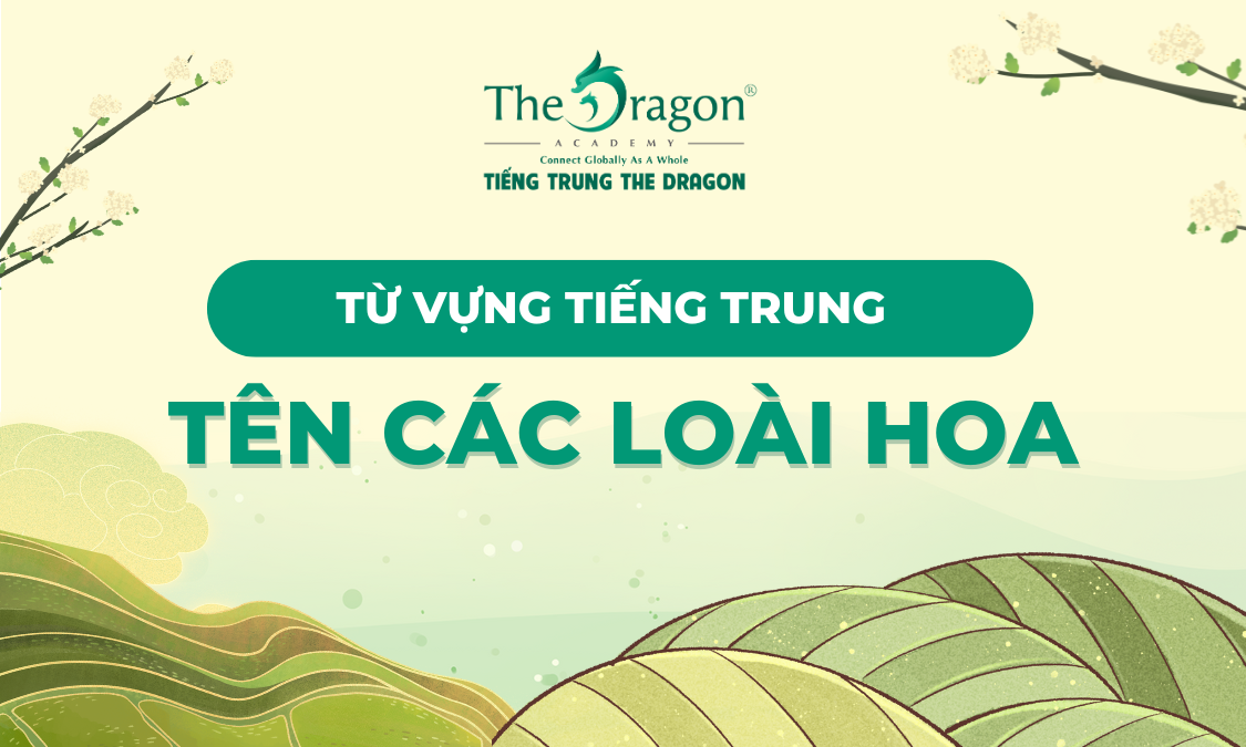 Từ vựng tiếng Trung về tên các loài hoa