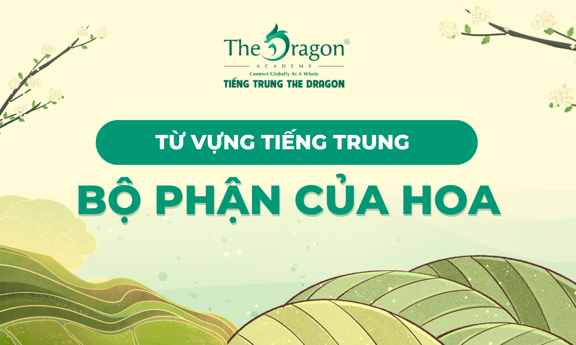 Từ vựng tiếng Trung về các bộ phận hoa
