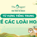 Từ vựng tiếng Trung về tên các loài hoa và mẫu câu giao tiếp thông dụng