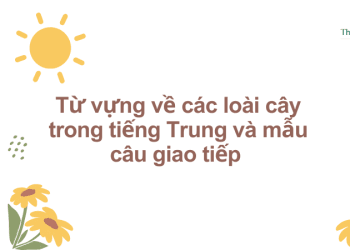 Từ vựng về các loài cây trong tiếng Trung và mẫu câu giao tiếp