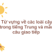 Từ vựng về các loài cây trong tiếng Trung và mẫu câu giao tiếp
