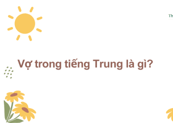 Vợ Trong Tiếng Trung Là Gì? Mẫu Câu Giao Tiếp Về Vợ Chồng Trong Tiếng Trung