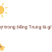 Vợ Trong Tiếng Trung Là Gì? Mẫu Câu Giao Tiếp Về Vợ Chồng Trong Tiếng Trung