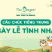 Những câu chúc Valentine 14/2 trong tiếng Trung dễ thương nhất