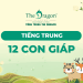 Tên gọi 12 con giáp trong tiếng Trung chuẩn và mẫu câu giao tiếp