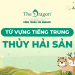 Từ vựng về thủy hải sản trong tiếng Trung và mẫu câu giao tiếp