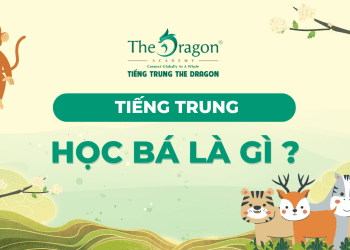 Học bá tiếng Trung là gì ? Mẫu câu tiếng trung về học bá