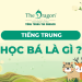 Học bá tiếng Trung là gì ? Mẫu câu tiếng trung về học bá