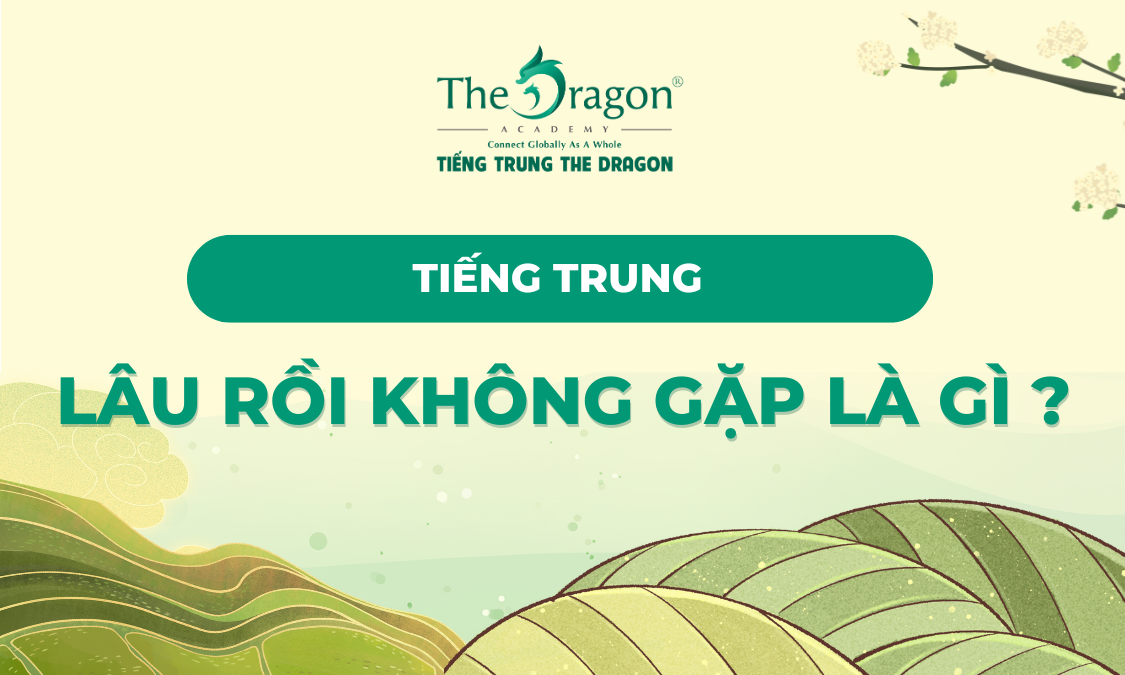 Lâu rồi không gặp tiếng Trung là gì?