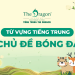 Từ vựng tiếng Trung chủ đề bóng đá và mẫu câu giao tiếp