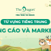 Từ vựng tiếng Trung về Quảng cáo và Marketing