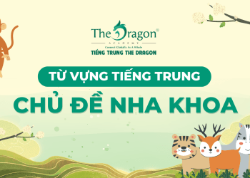 Từ vựng tiếng Trung về nha khoa và những mẫu câu giao tiếp