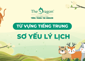 Từ vựng tiếng Trung về sơ yếu lý lịch