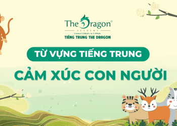 Từ vựng về cảm xúc con người trong tiếng Trung