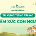 Từ vựng về cảm xúc con người trong tiếng Trung