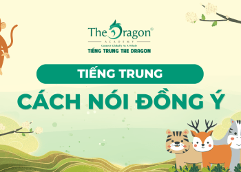 Đồng ý tiếng Trung là gì ? Những cách nói đồng ý trong tiếng Trung