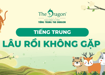 Lâu rồi không gặp tiếng Trung là gì ? Cách nói lâu rồi không gặp tiếng Trung