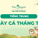 Ngày cá tháng tư 1/4 tiếng Trung là gì ? Mẫu câu tiếng Trung ngày cá tháng tư