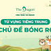 Từ vựng tiếng Trung về bóng rổ và mẫu câu tiếng Trung