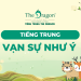 Vạn sự như ý tiếng Trung là gì ? Mẫu câu chúc thông dụng