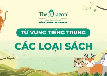 Từ vựng về các loại sách trong tiếng Trung và mẫu câu giao tiếp
